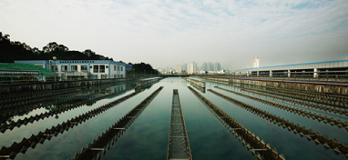 兩會聲音：城市“新洼地”之痛 如何補齊城市地下管網(wǎng)短板？