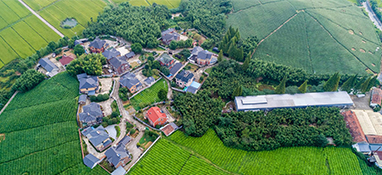 農(nóng)業(yè)農(nóng)村部等四部門關(guān)于推進政策性開發(fā)性金融支持農(nóng)業(yè)農(nóng)村基礎設施建設的通知