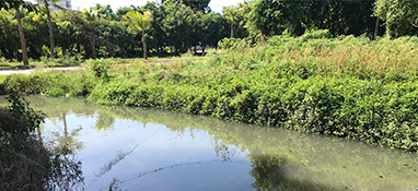 沿用城市思維？農(nóng)村黑臭水體治理“行不通”！