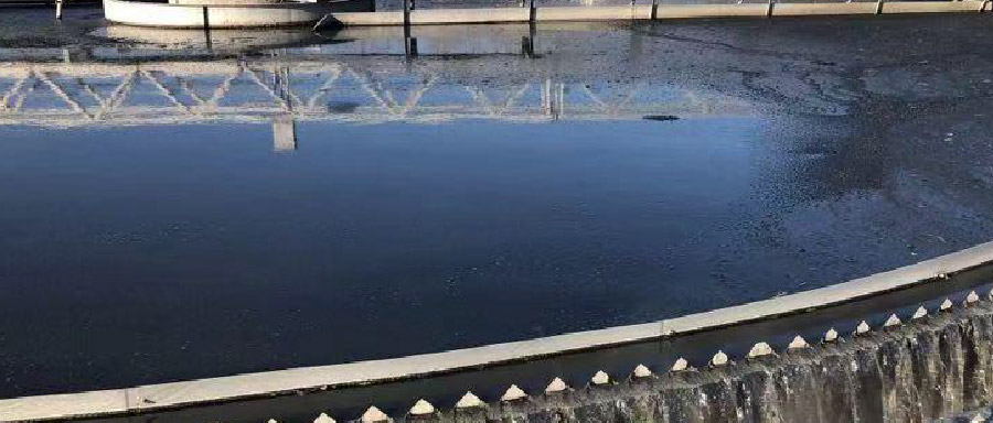 閥門展|再生水利用率高達(dá)50%！看北控水務(wù)這座污水廠玩轉(zhuǎn)資源化